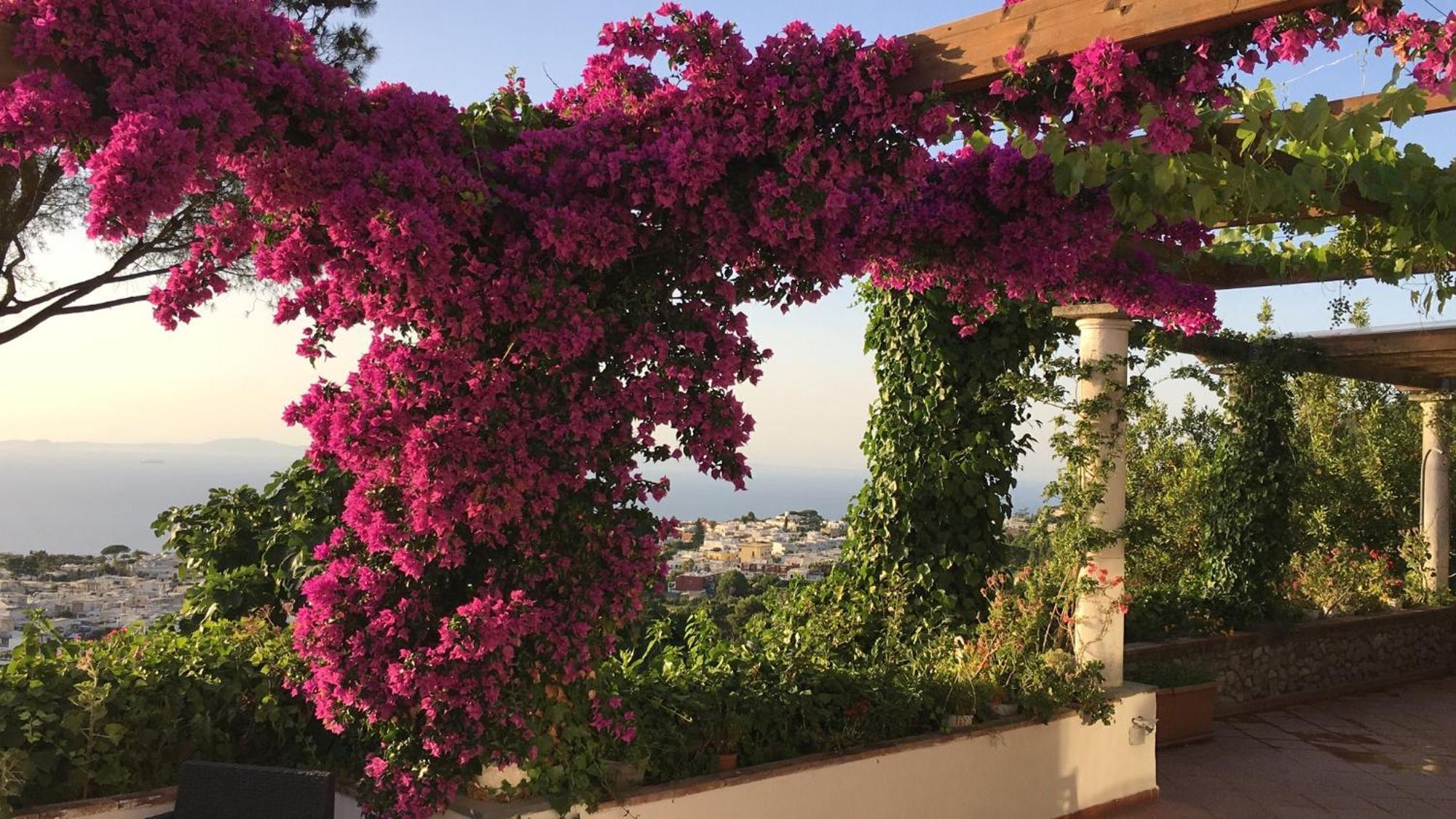 Casa Blu Hotel Anacapri  Buitenkant foto